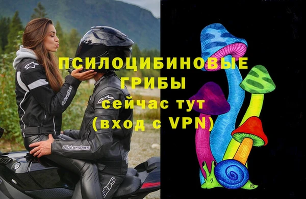 синтетический гашиш Зеленокумск